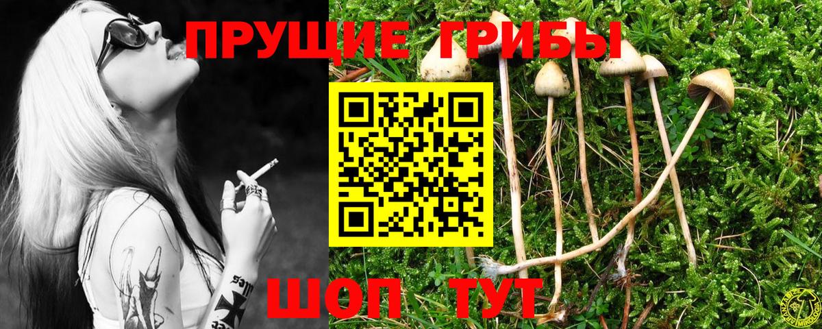 Галлюциногенные грибы мухоморы  Вход с VPN  дарнет шоп  Вичуга  Псилоцибиновые грибы мухоморы 