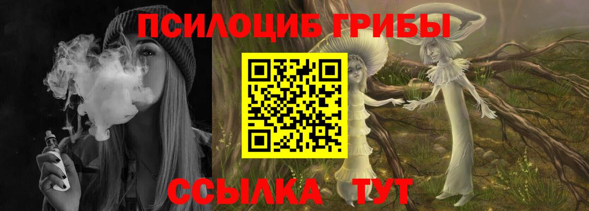 Галлюциногенные грибы GOLDEN TEACHER Вичуга